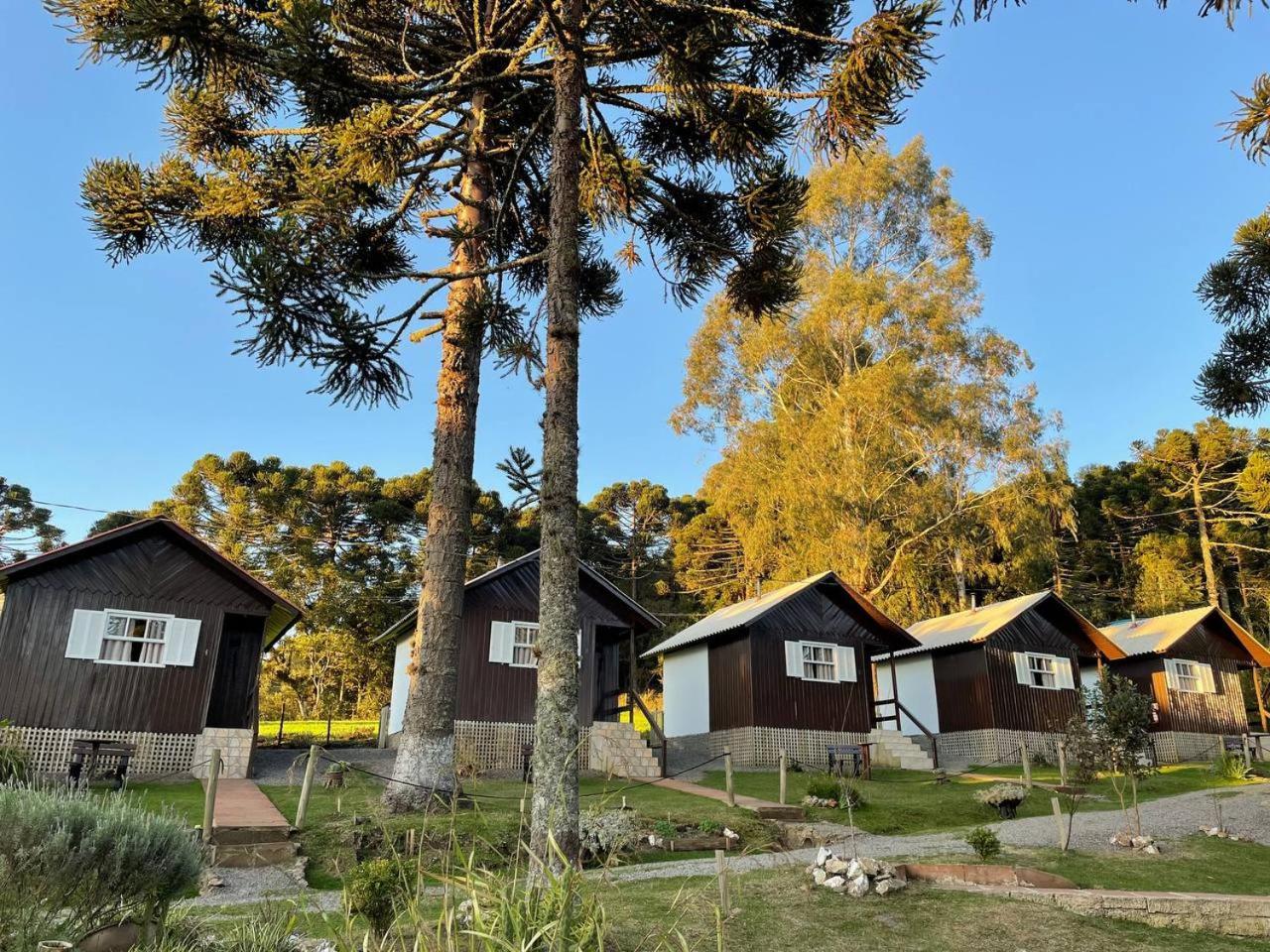 Pousada Cardoso Cambara do Sul Exterior photo